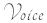 Voice